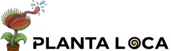 planta loca